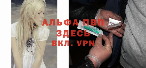 индика Алексеевка