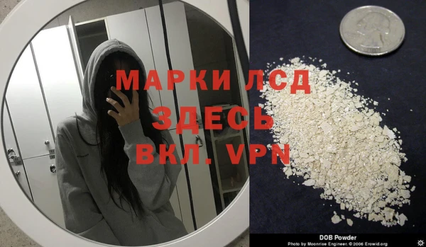 спайс Алзамай