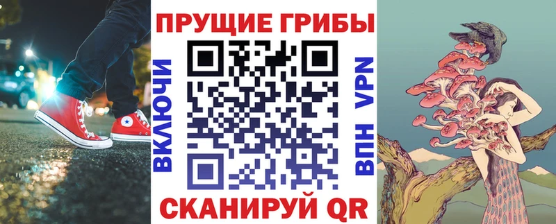 Псилоцибиновые грибы Cubensis Собинка